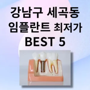 서울시 강남구 세곡동 임플란트 비용 가격 및 BEST 5